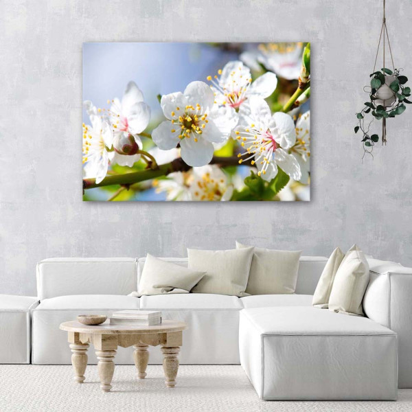 Feeby Obraz na płótnie Kwitnąca gałąź 60x40