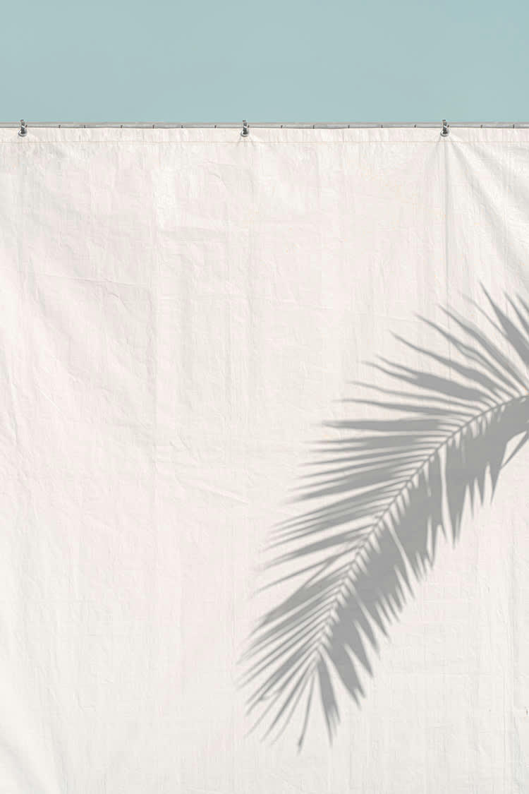 L'OMBRE DU PALMIER - Photographie d'art de Laura Sanchez 40x60 cm sur alu