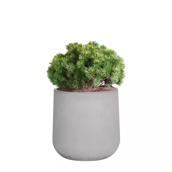 Donica Betonowa Zewnętrzna Zadora BOWL M 60x60 cm szary naturalny
