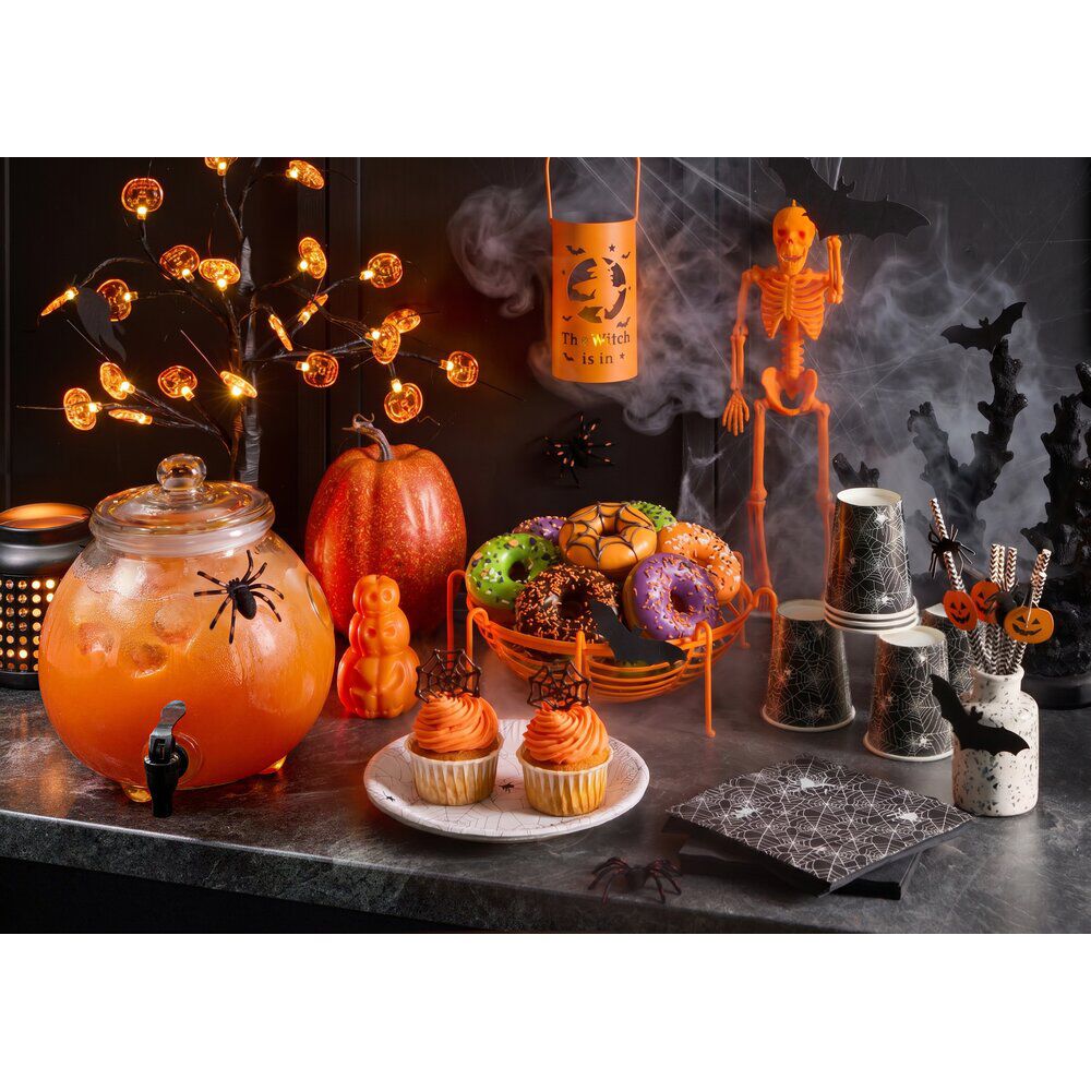 Assiette carton x10 motif Halloween toile d'araignée blanc Ø23cm