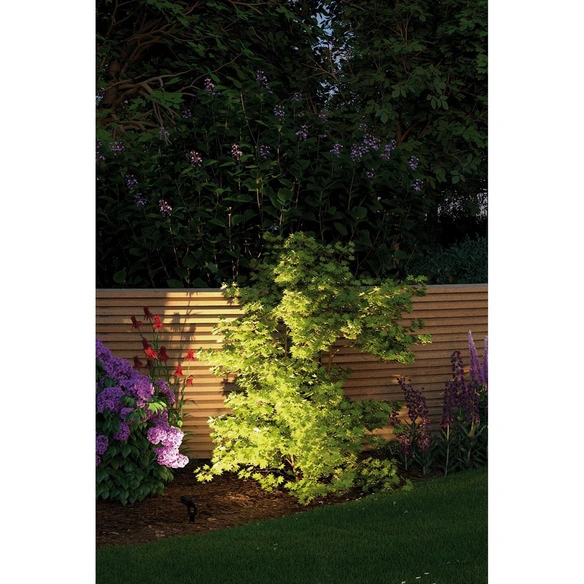 Spotstrahler »Plug & Shine STING«, 6 W, dimmbar