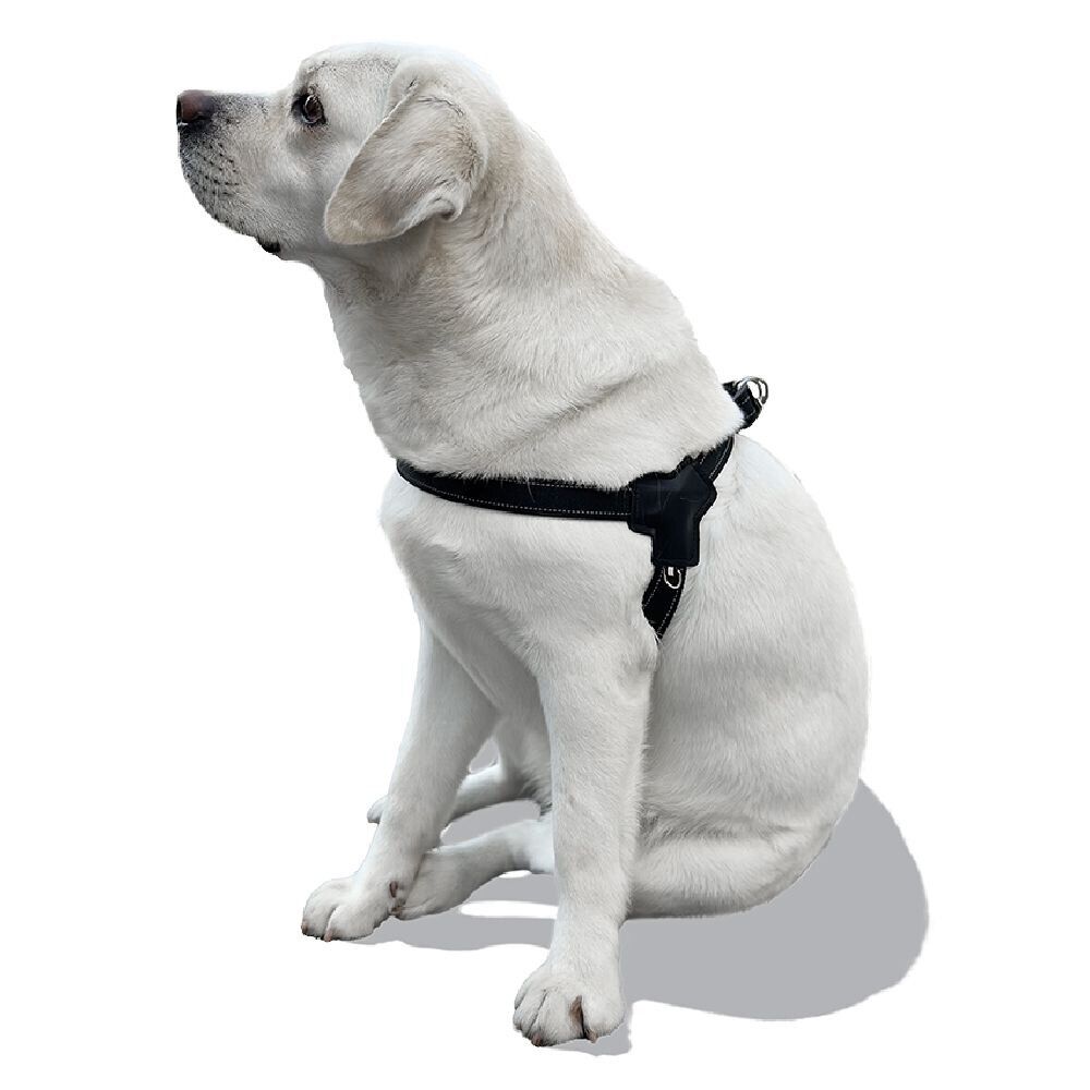 Harnais pour chien taille L 69-95cm