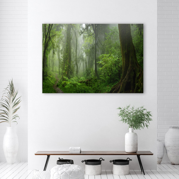 Feeby Obraz na płótnie, Tropikalny las dżungla 60x40