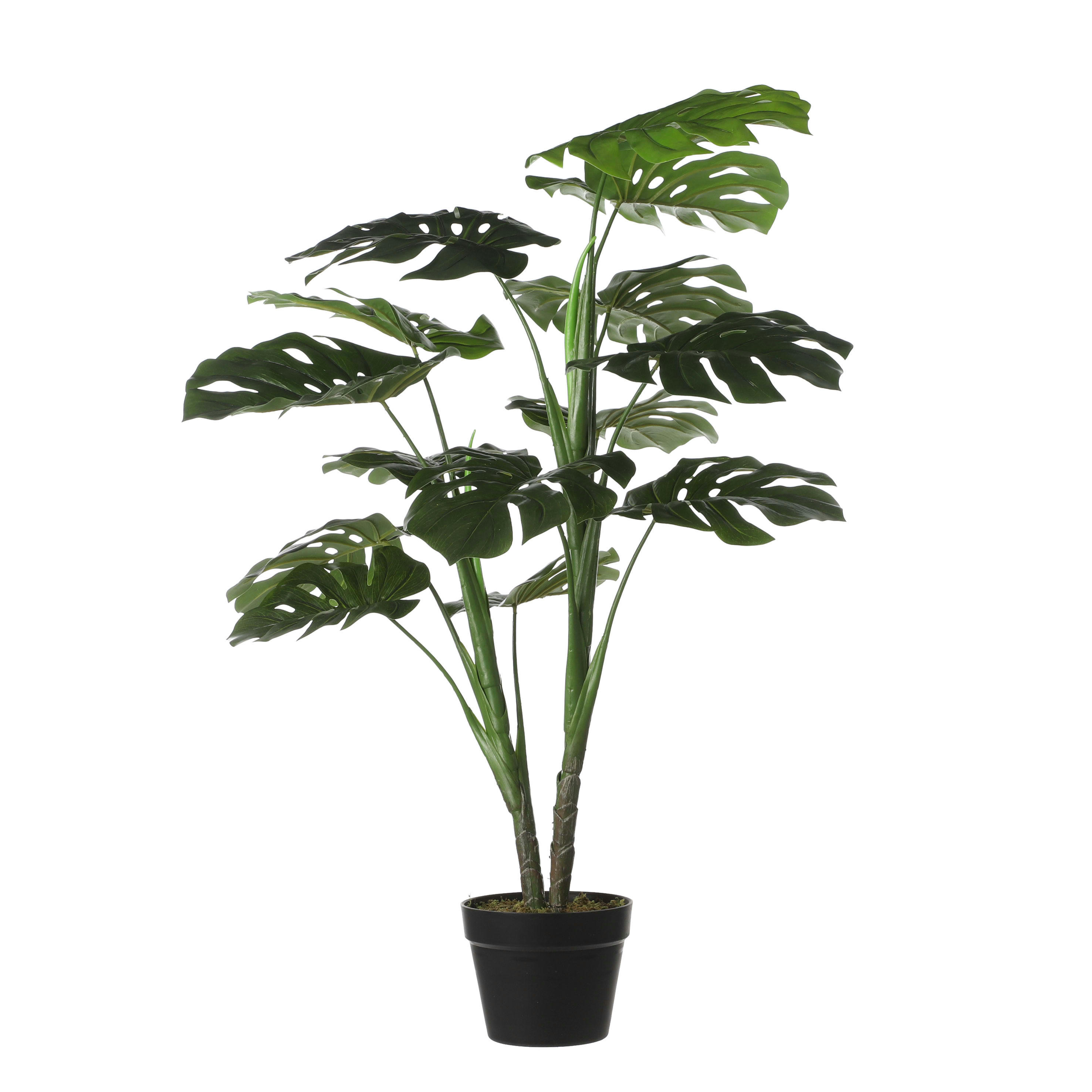 - Monstera artificielle en pot H100