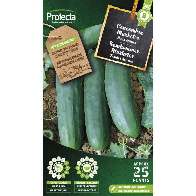 Semences de concombre Marketer PROTECTA