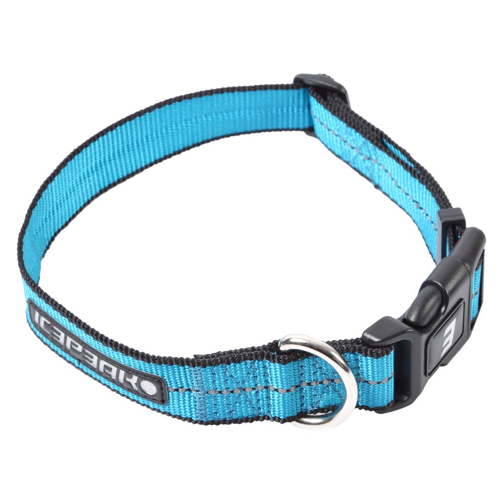 Icepeak Pet® Highway Basic Collar – Aqua