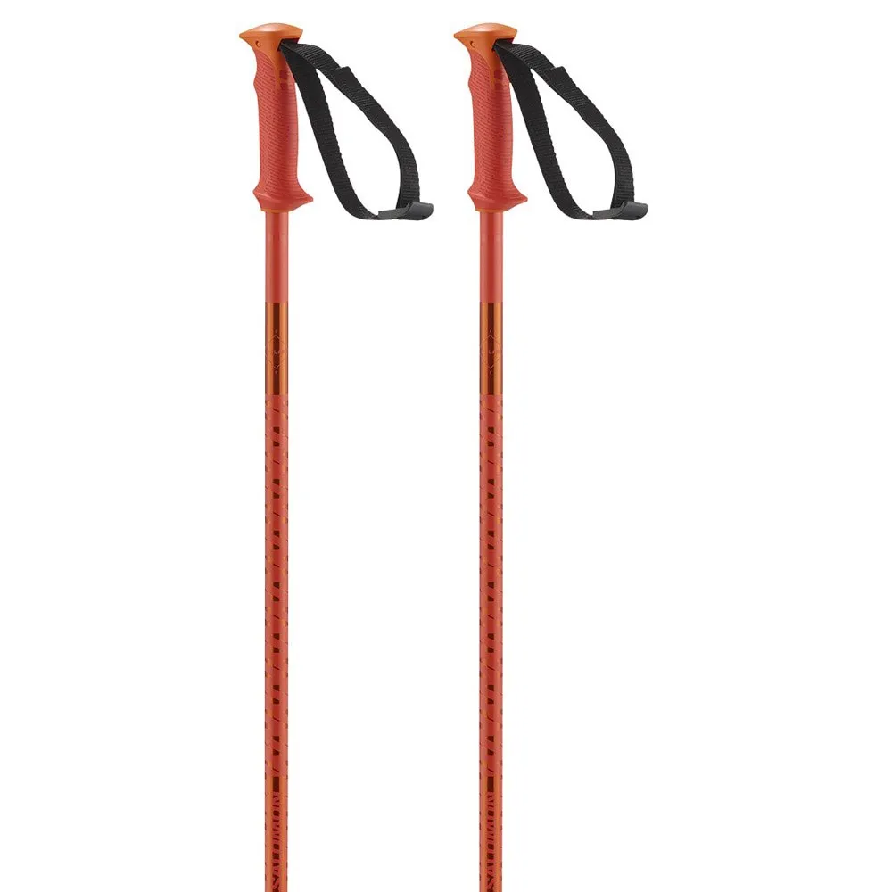 Salomon Polar poles
