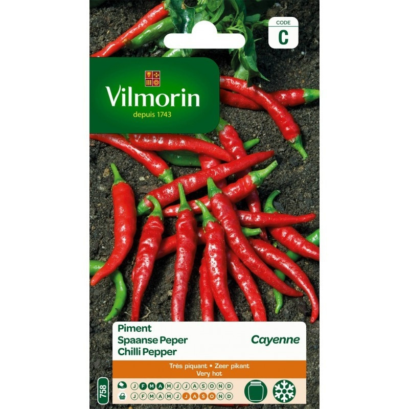 Semences de piment Cayenne VILMORIN