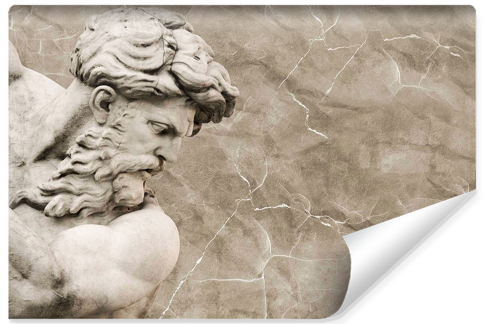 Fototapeta Do Biura Rzeźba NEPTUN Abstrakcja 90x60cm