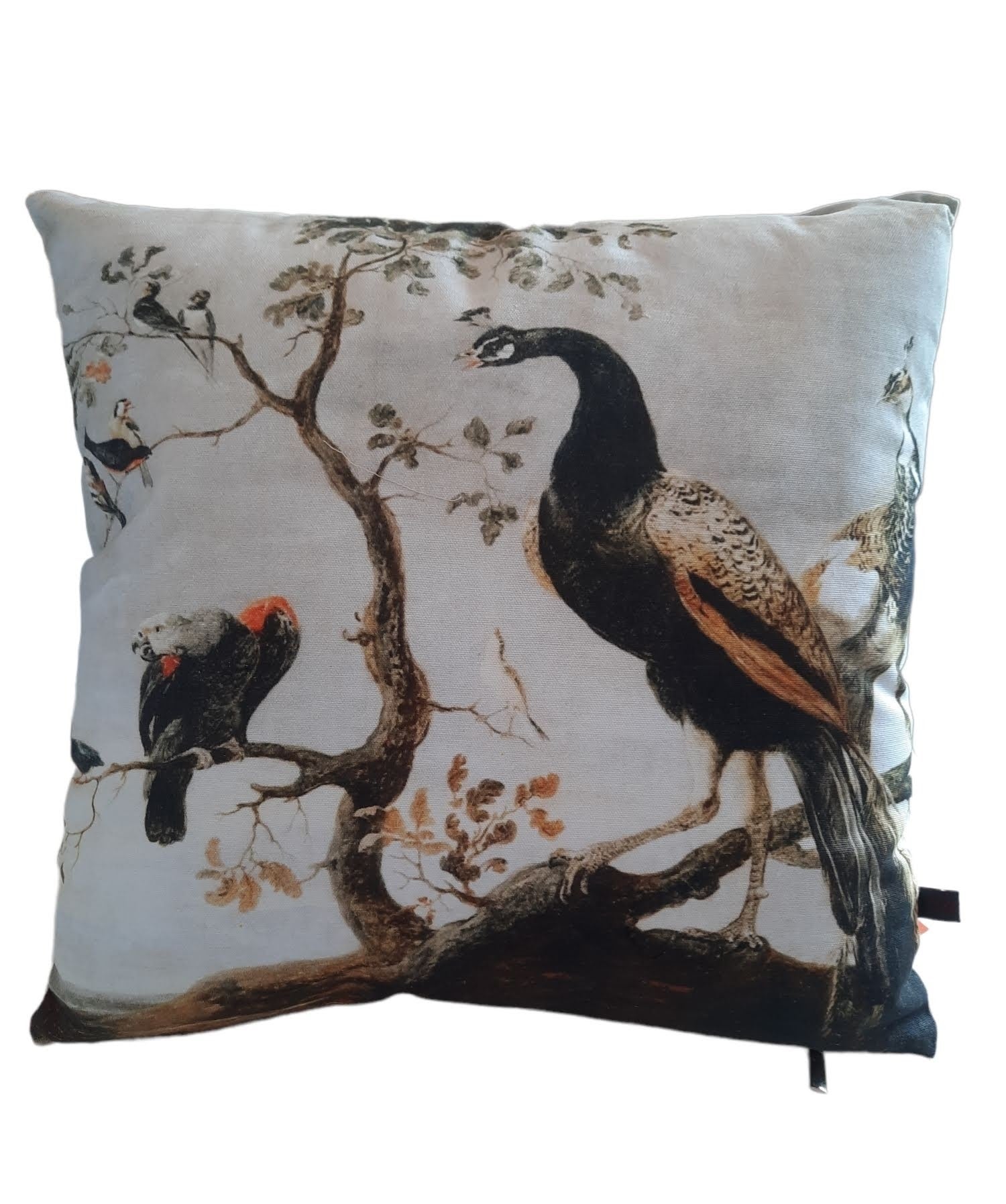 Furnilux Set van 2 Sierkussens - Pauw Rixt - 45x45x10cm