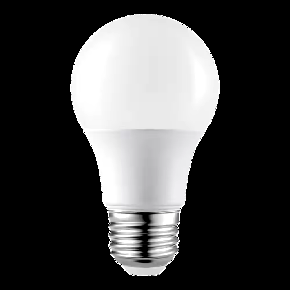 NOMA A19 E26 Base Household Non-Dimmable LED Light Bulbs, 5000K, 800 Lumens, Daylight, 60W, 12-pk
