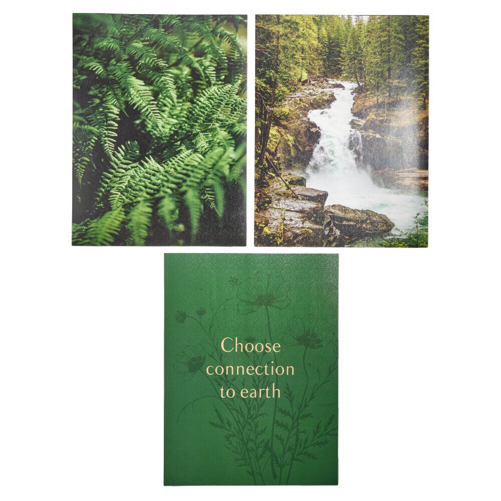 Affiche papier x3 thème nature noir et vert 30x40cm