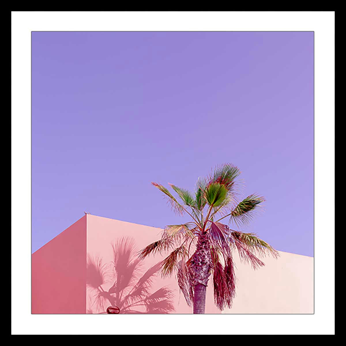 - Affiche photo pink palma avec cadre noir 30x30cm
