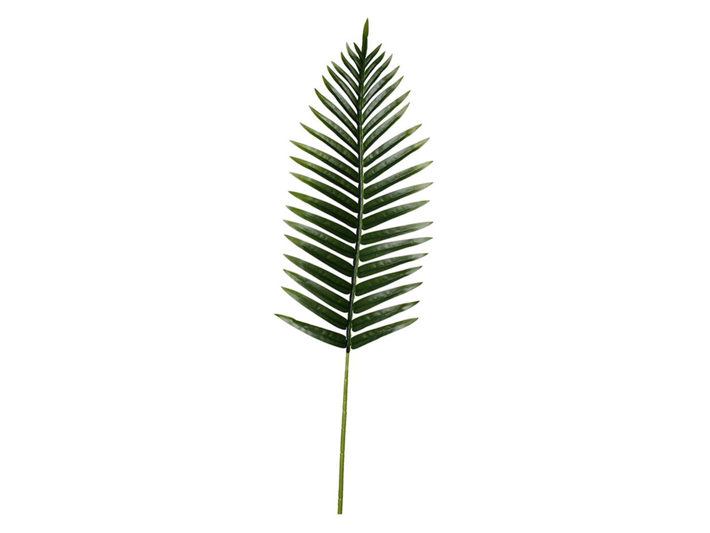 Palma gałązka 100 cm