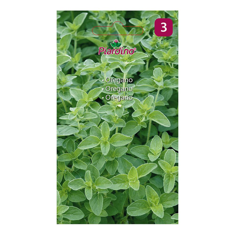 KRYDDERURTER PIARDINO OREGANO