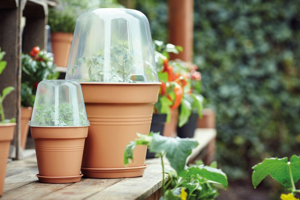 VEKSTHUS ELHO GREEN BASICS GROW HOUSE ROUND Ø30 CM
