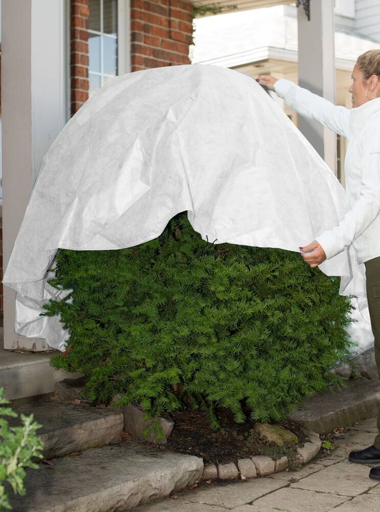 NuVue Winter Wrap, Lightweight, 12-ft