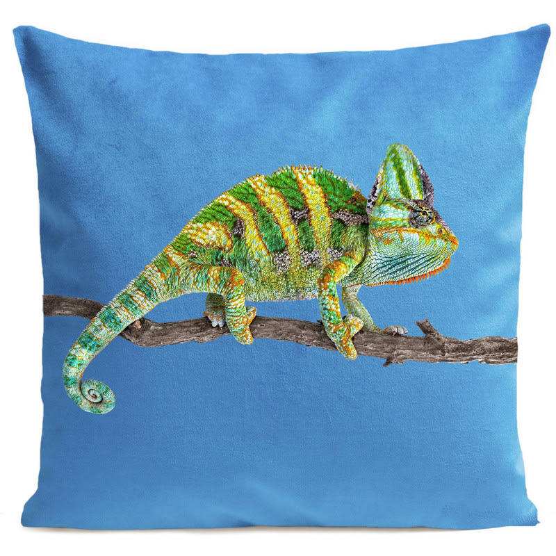 - Coussin reptile caméléon velours bleu vif 40x40cm