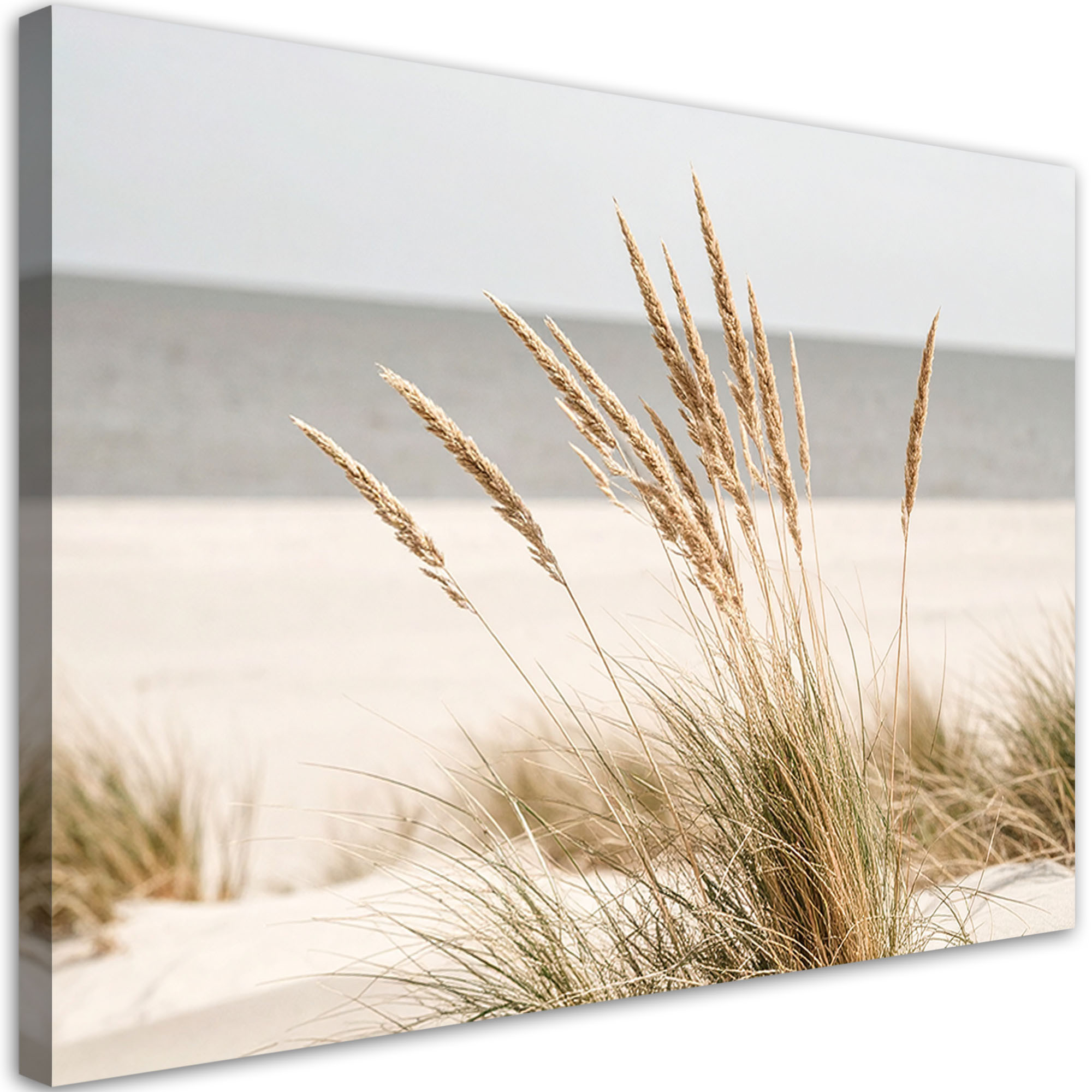 Obraz do salonu kuchni biura, Plaża morze rośliny natura beżowy 30x20