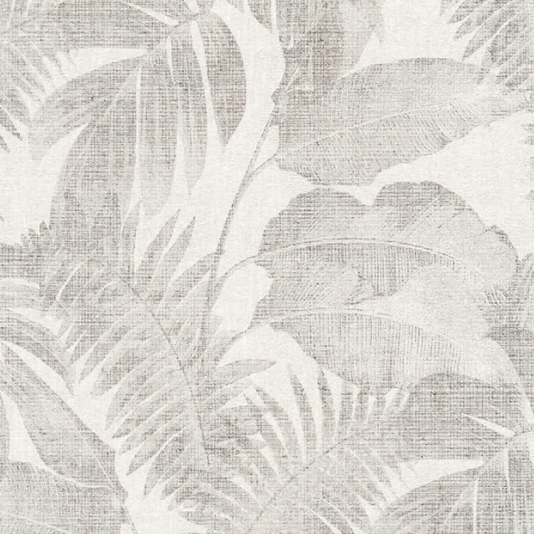 NEW WALLS - Papier peint jungle tropicale papier gris clair  x
