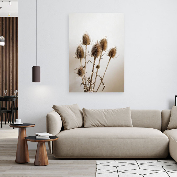 Obraz do salonu kuchni biura, Suszony Oset rośliny 20x30