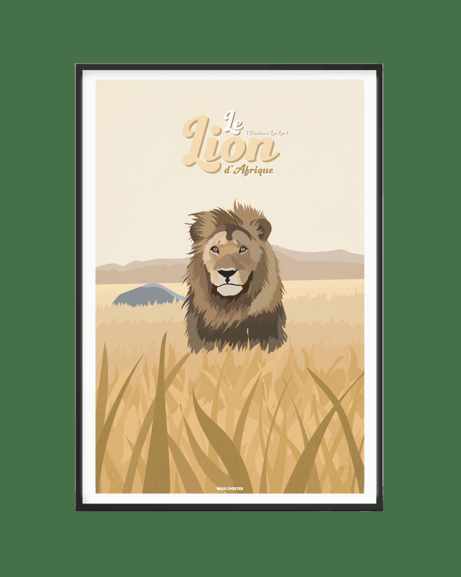 ANIMAUX - Affiche Animaux - Le Lion d'Afrique 30 x 40 cm