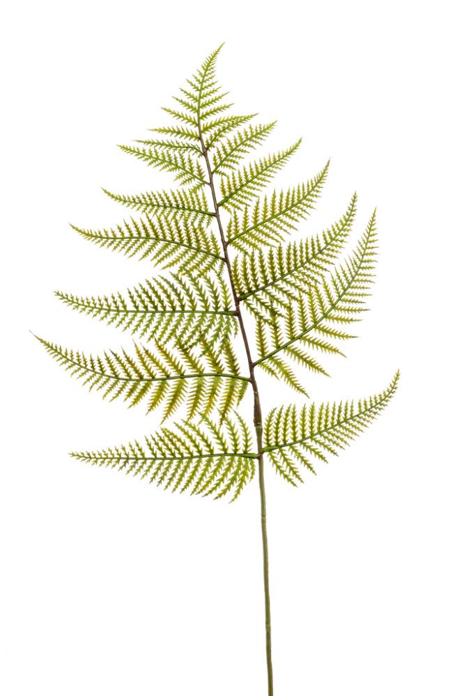 FERN SPRAY EMERALD 80 CM GRØNN