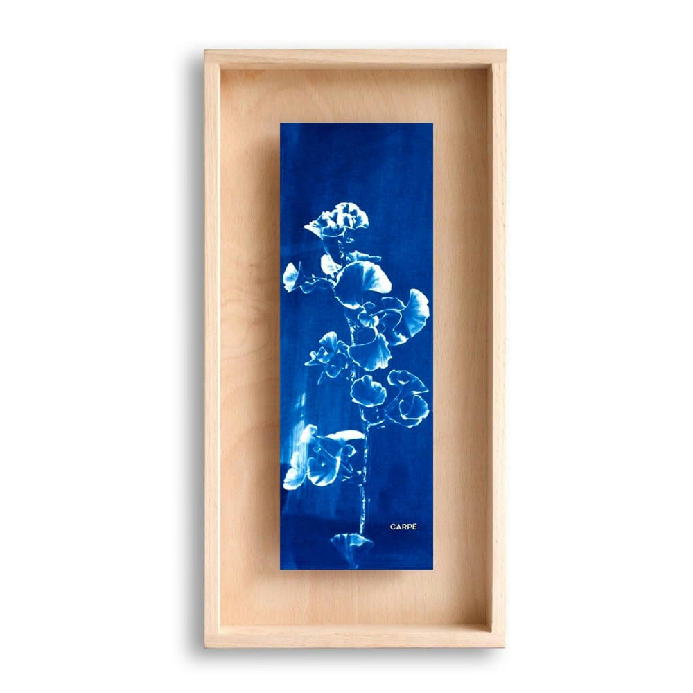 CARPË - Cadre en bois cyanotype gingko 40x20cm