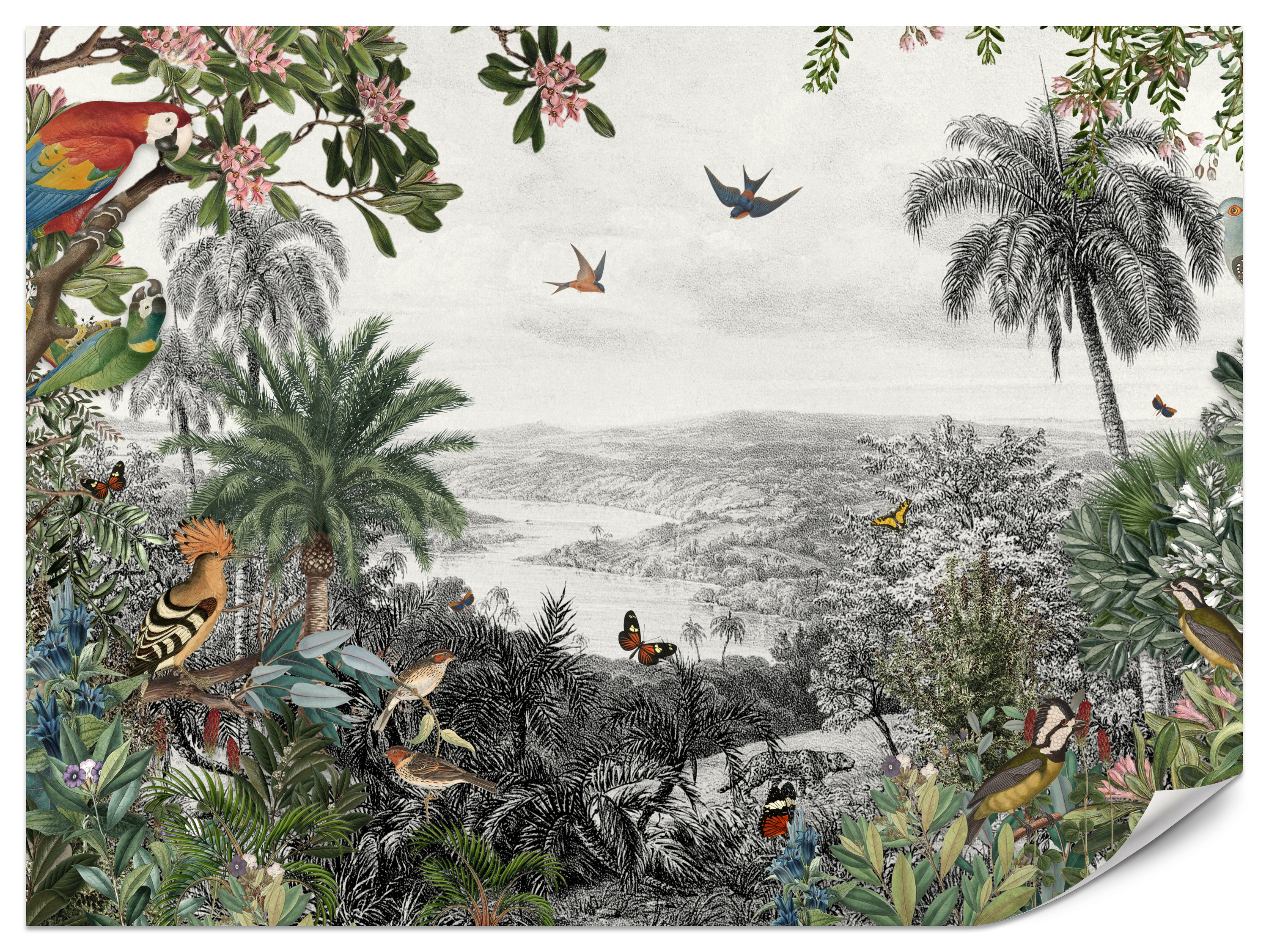 Fototapeta Tropikalne ptaki 100x70cm