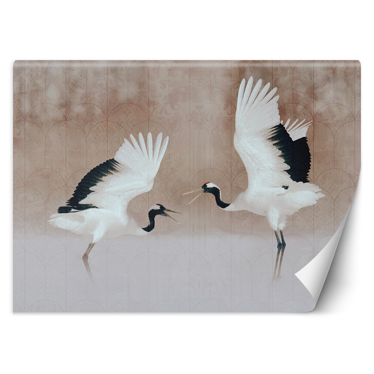 Feeby Fototapeta, Czaple Ptaki Beż 150x105