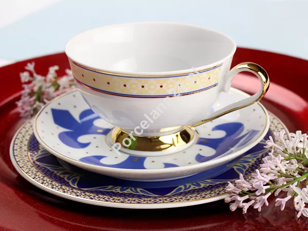 Filiżanka ze spodkiem do herbaty 0,22 L / 14,5 cm Ćmielów - Astra G340 Bizancjum GIFT BOX
