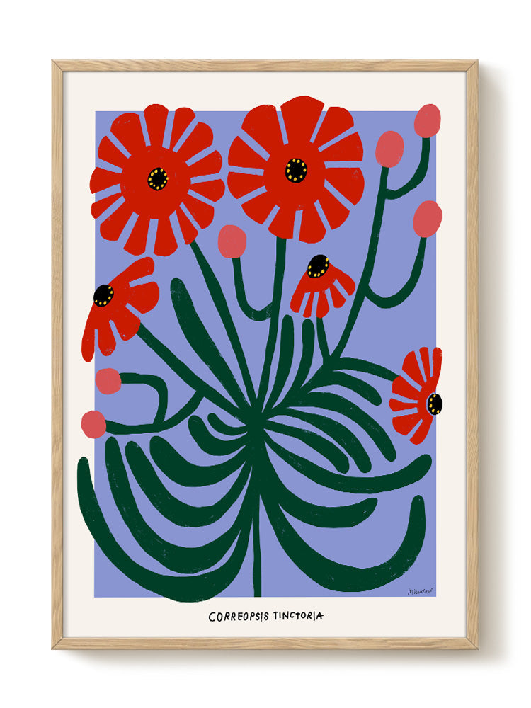 Madelen - Red Correopsis Tinctoria - PSTR studio Kunst Poster