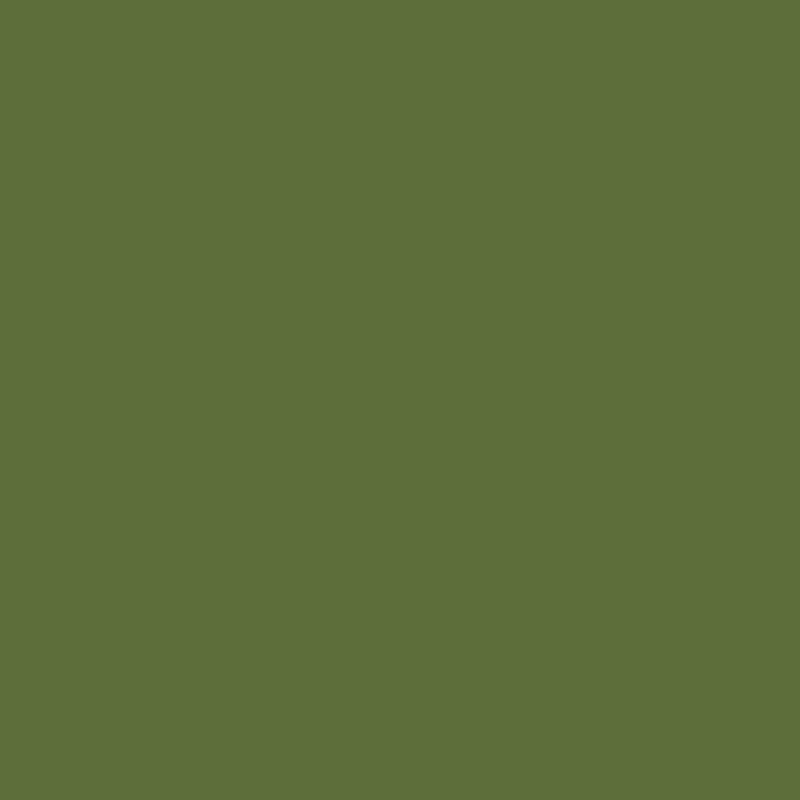 Peinture multisupports Déco vert fougère satin 0,4 L INVENTIV