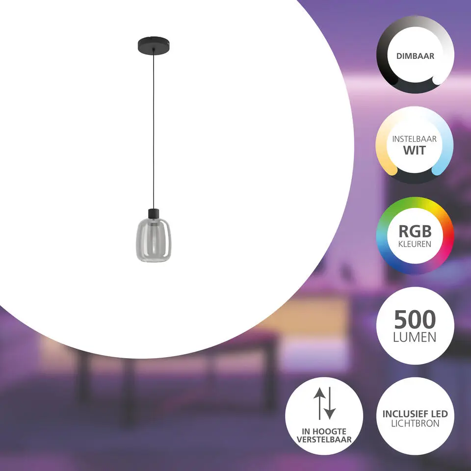 EGLO connect.z Molochio-Z Hanglamp - LED - Glas - Zwart