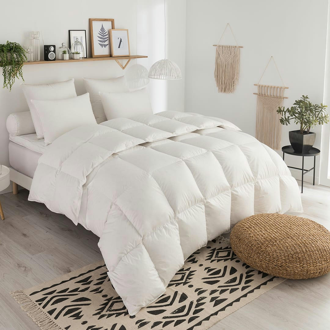 - Couette Tradition LEGERE - 70% Duvet d'Oie 240x260 cm - DODO