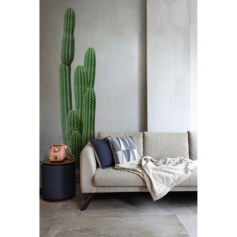 Sticker Cactus 45 x 169 cm
