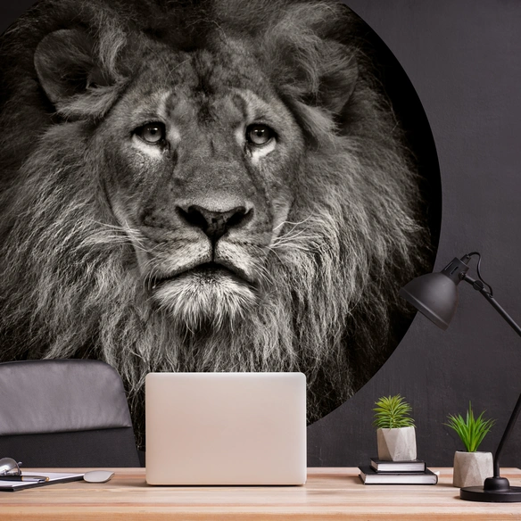 Vliestapete »Lion«, Tiermotiv, Löwe, grau/weiß, matt