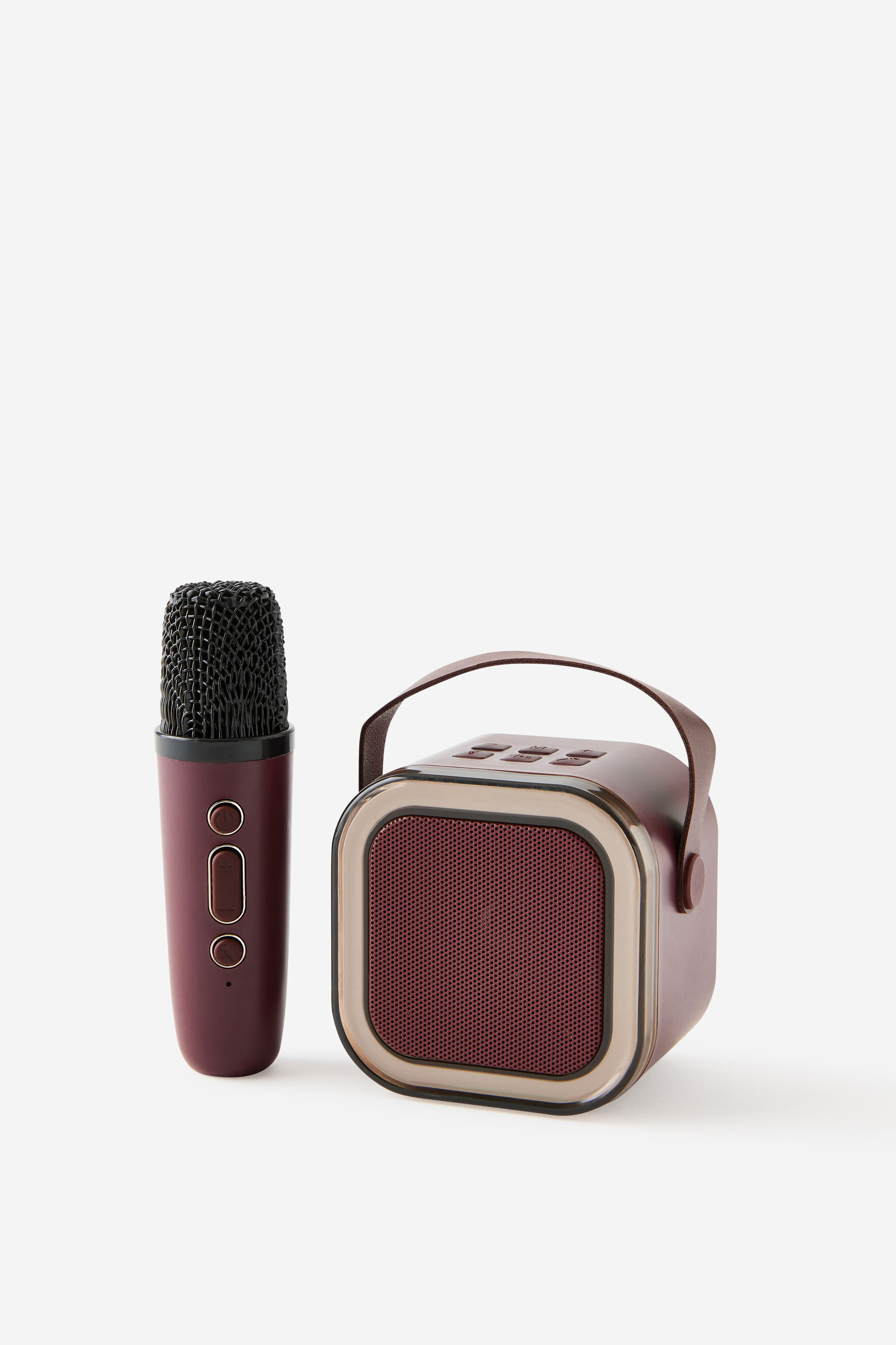 LED Karaoke Speaker
