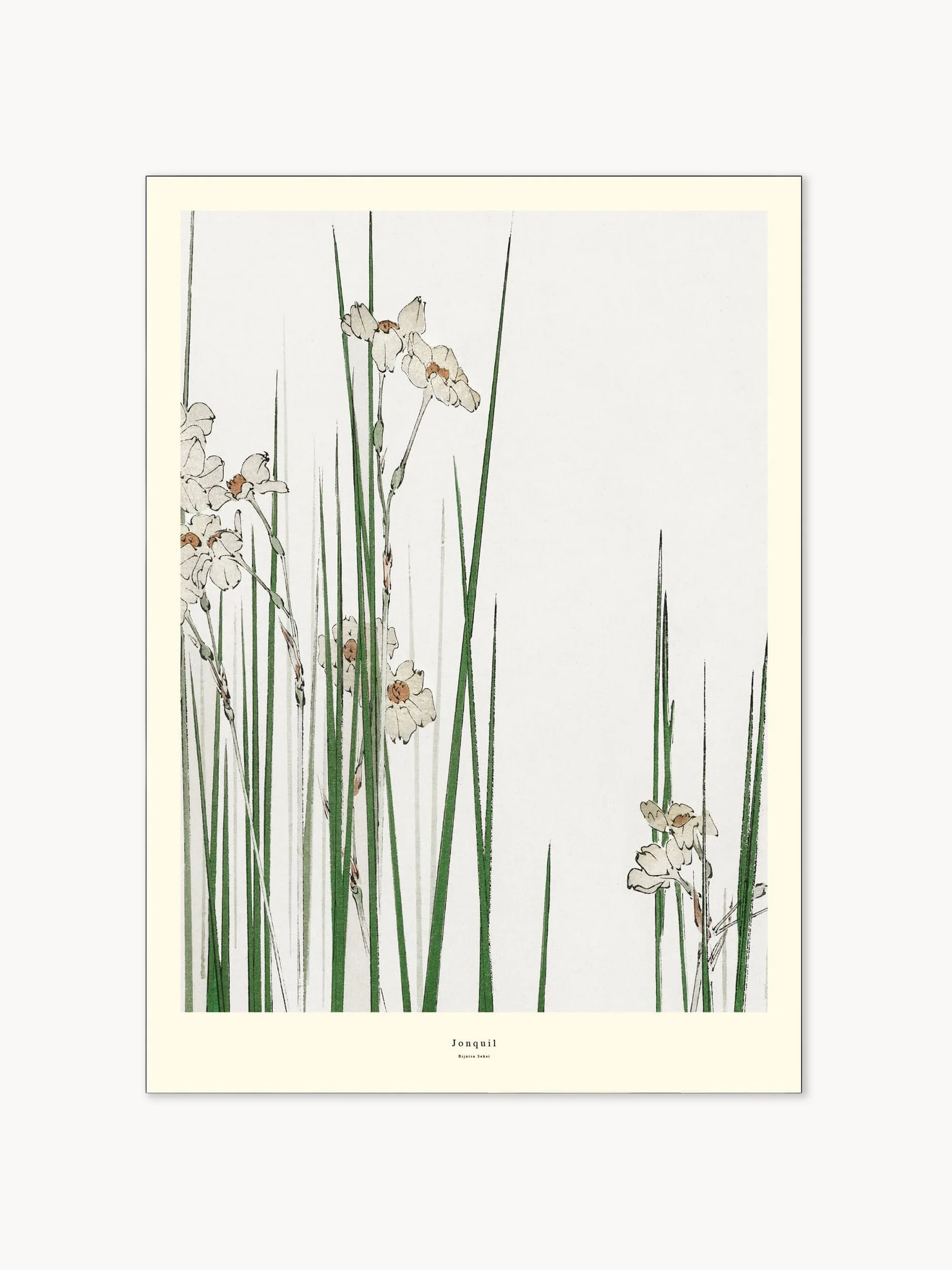 Poster Jonquil