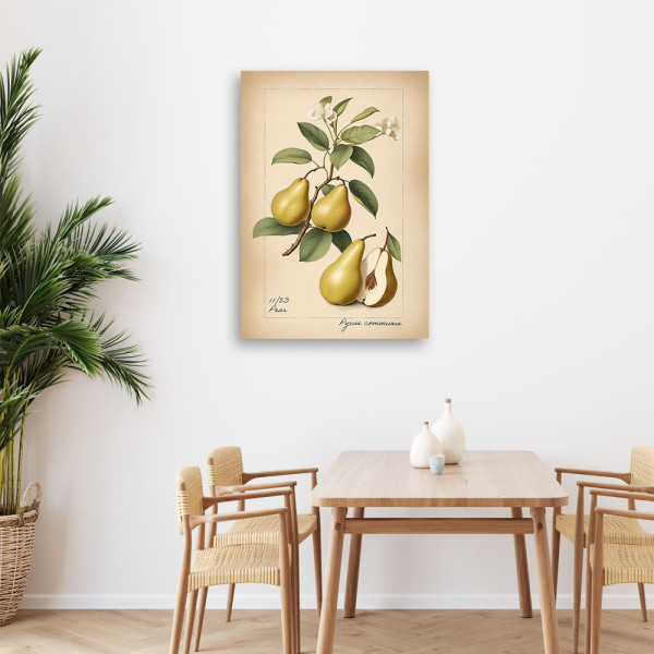 Feeby Obraz na płótnie, Owoce Vintage Gruszka 40x60