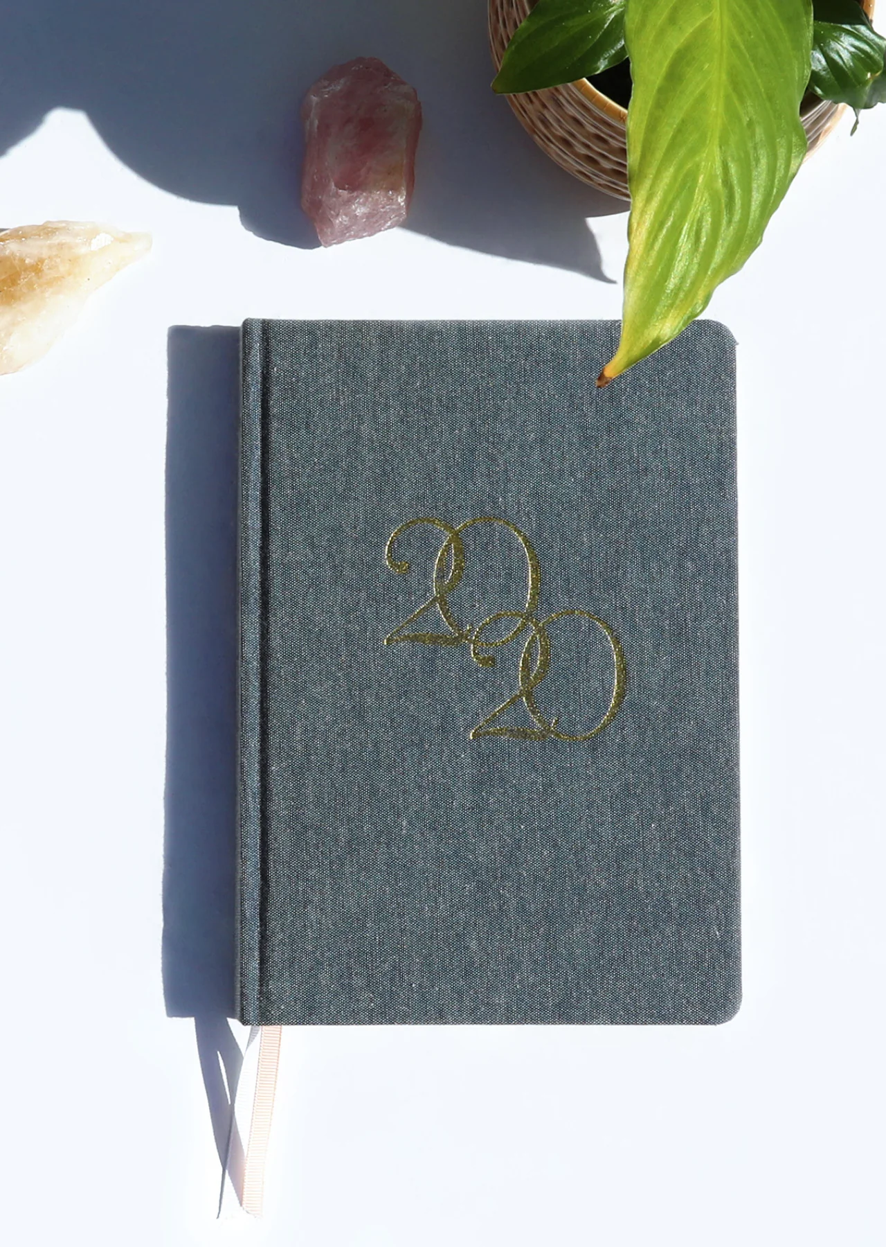 Active Living Diary 2020