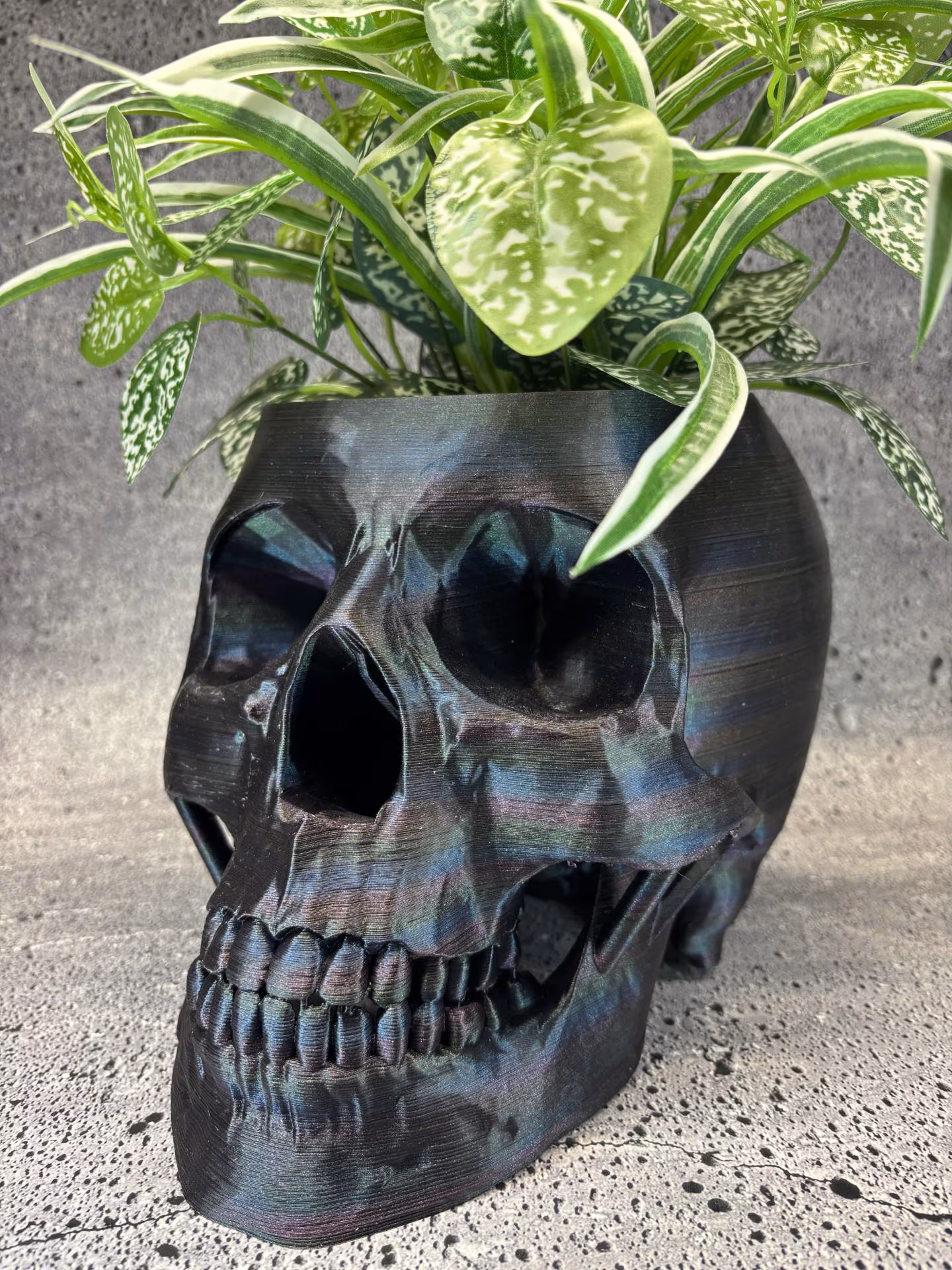 Extra Extra Large Skull pot for Succulents, Cactus or any Plant (Cosmic Multi color) - 7.5