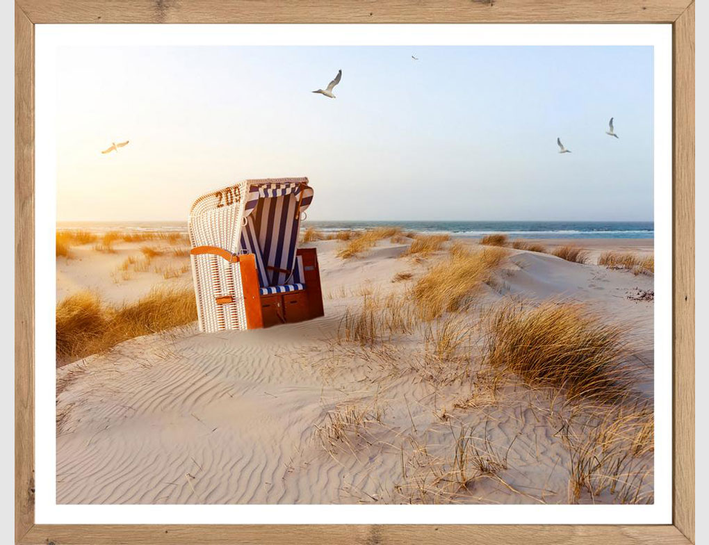 Bild Strandkorb in den Dünen