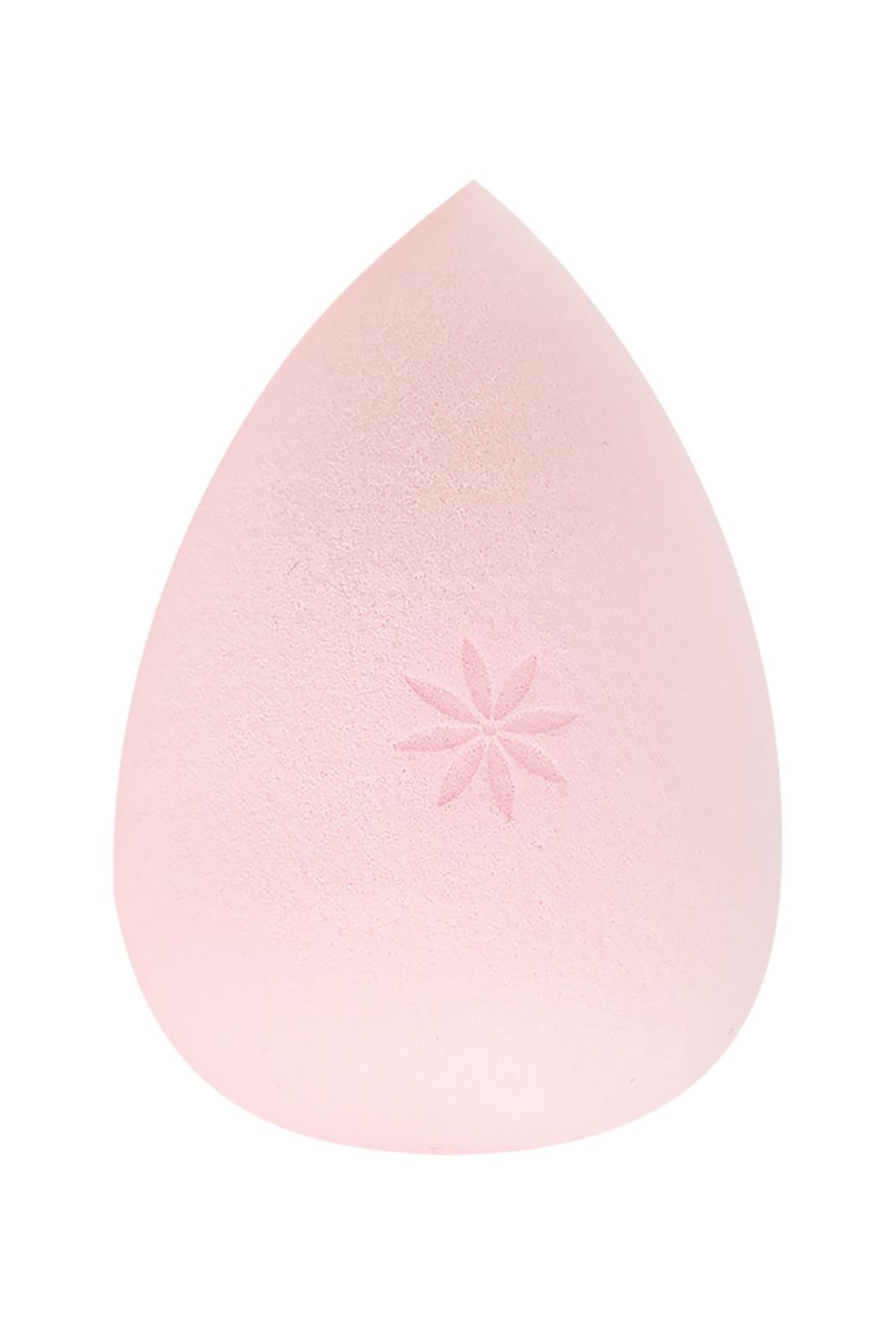Brushworks Complexion Sponge