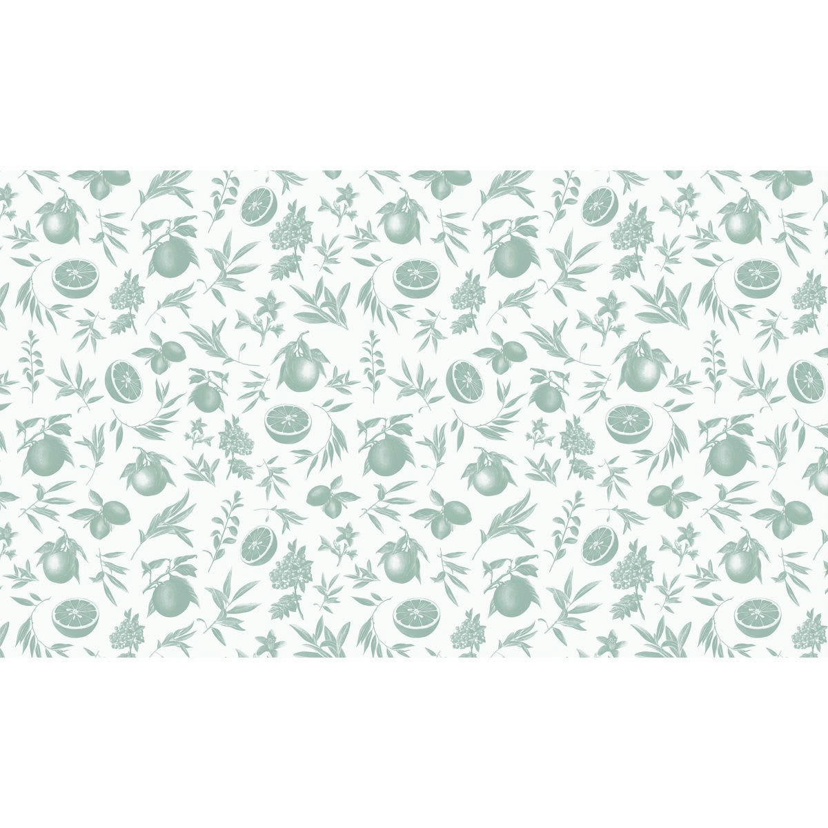 - Papier peint panoramique agrumes 340 x 250 cm