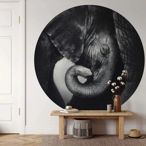 Vliestapete »Runde Vliestapete«, Baby Elefant Safari Tiere Kinder, mehrfarbig, matt