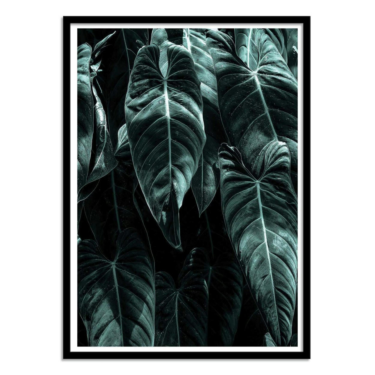 KUBISTIKA - THE JUNGLE - KUBISTIKA - Affiche d'art 50 x 70 cm