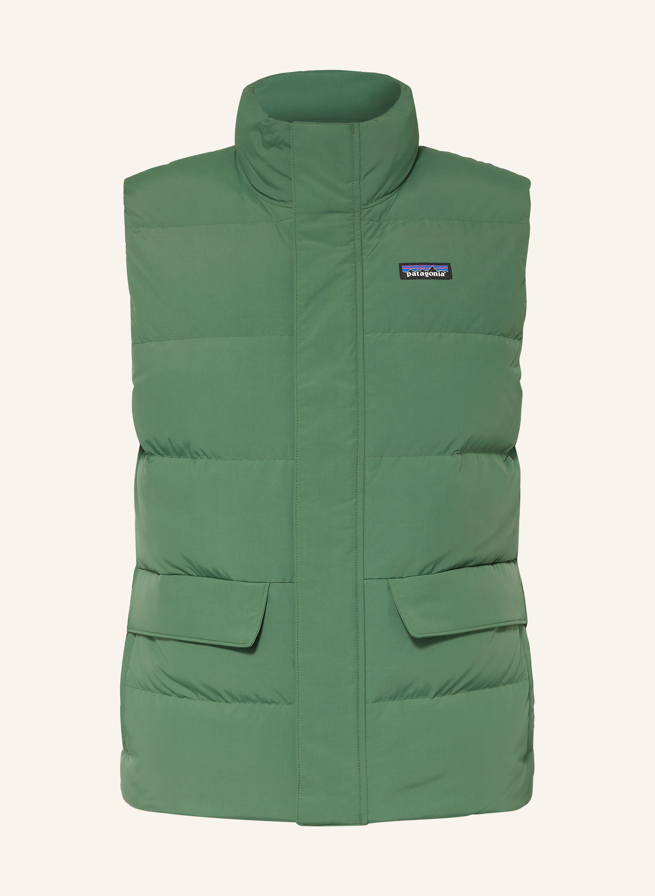 patagonia Daunenweste SISAR