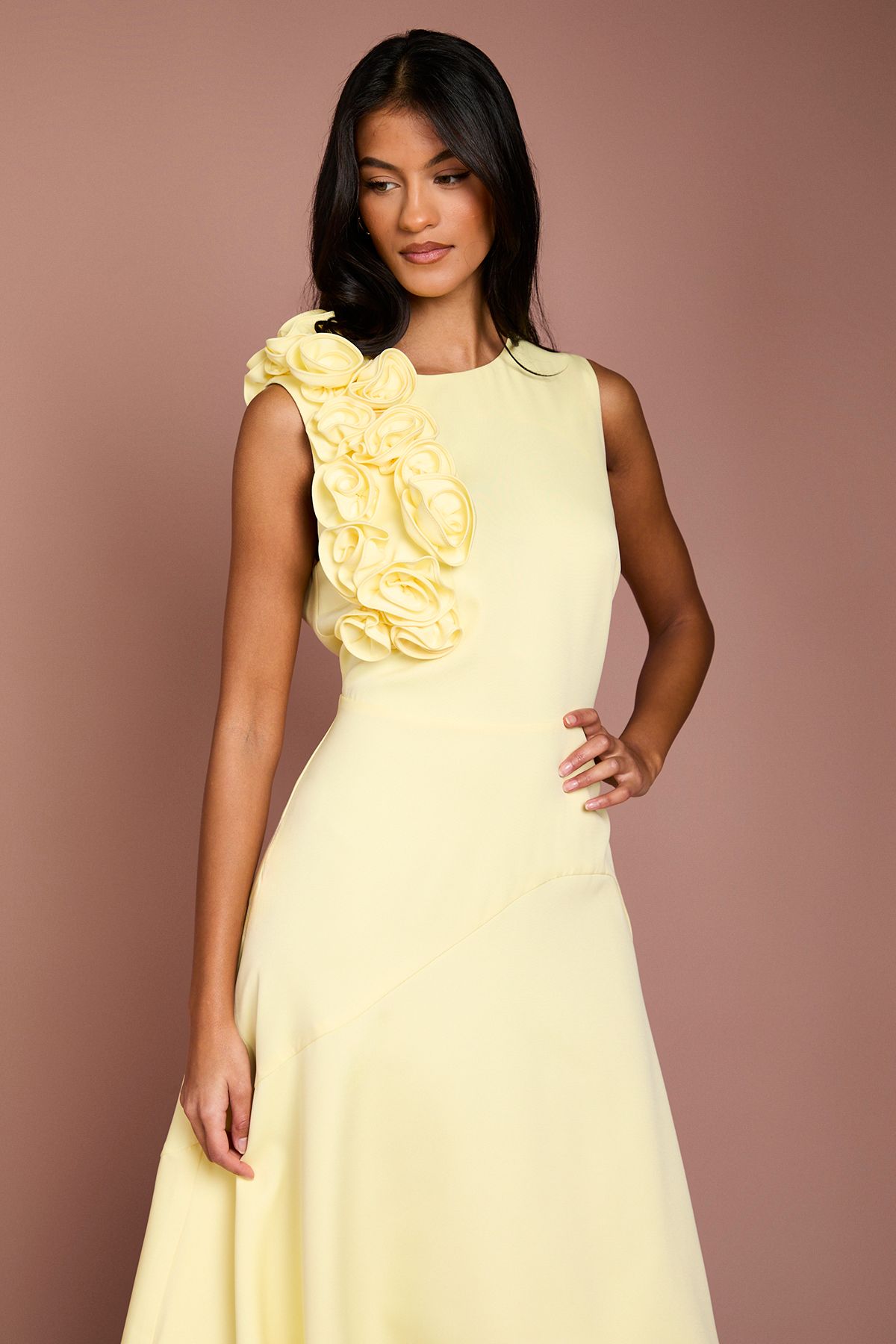 Coast Petite 3D Corsage High Low Dress
