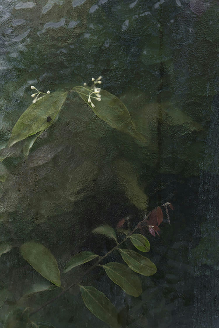 ET CLORE - Photographie d'art de Zoé Pignolet 40x60 cm sur plexi
